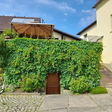 Apartmán Wolfsbergblick Reinhardtsdorf-Schona Exteriér fotografie