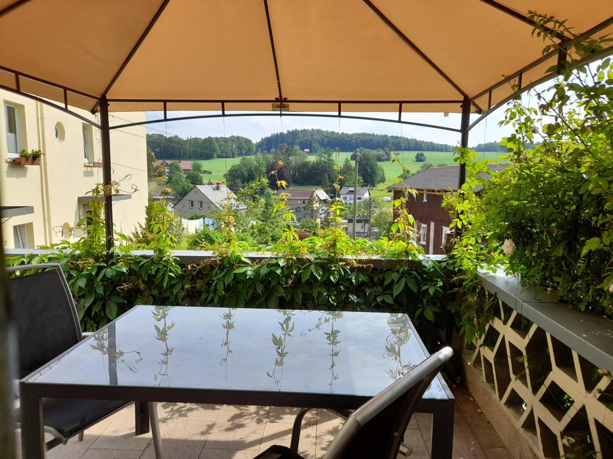 Apartmán Wolfsbergblick Reinhardtsdorf-Schona Exteriér fotografie